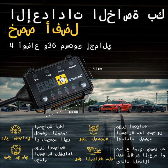 قم بتخصيص أفضل الإعدادات الخاصة بك