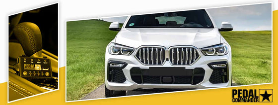 كمبيوتر شخصي 10 / بي ام دبليو / X4 / G02 (2019+) / (xDrive30i)