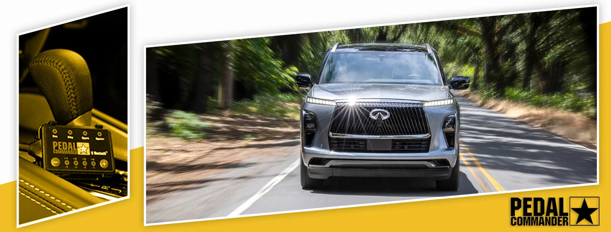 دواسة القيادة لسيارة إنفينيتي QX80 