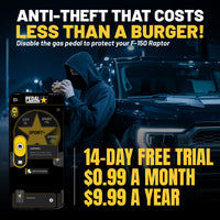 gallery-theft-Ford-F150-Raptor