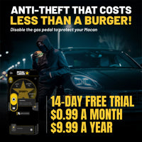 gallery-theft-Porsche-Macan